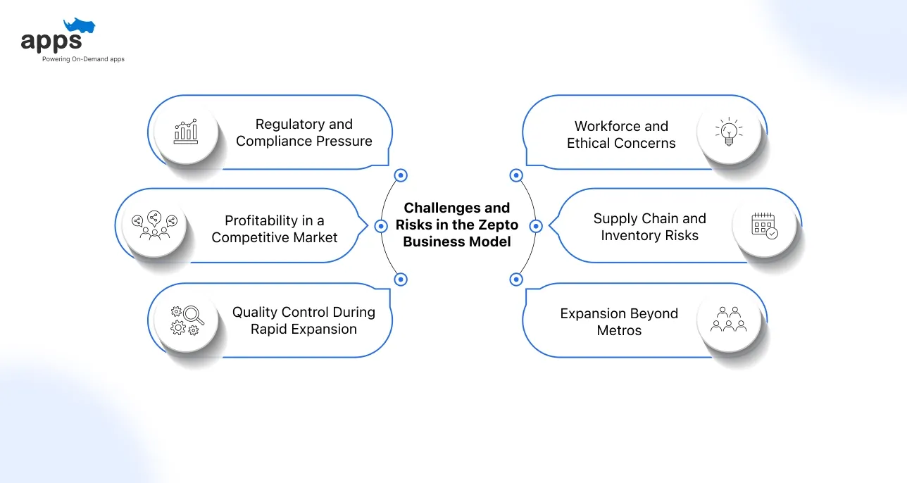 Challenges and Risks in the Zepto Business Model