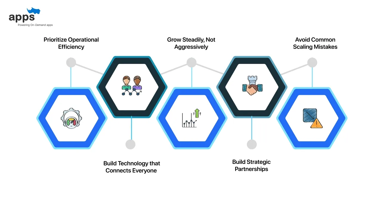 Lessons for Entrepreneurs and Startups